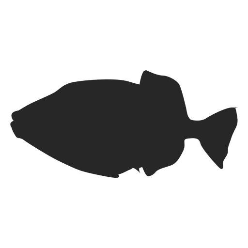 Fauna fish silhouette