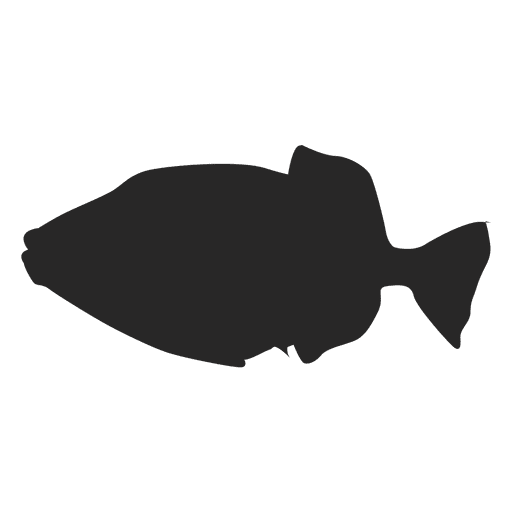 Silueta de pez fauna Transparent PNG Silueta de pez fauna Transparent PNG