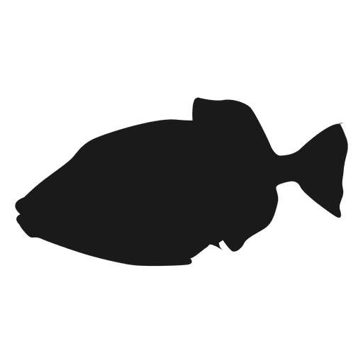 Icono de silueta de pez Diseño PNG