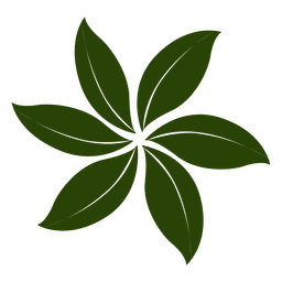Hojas de flores Diseño PNG