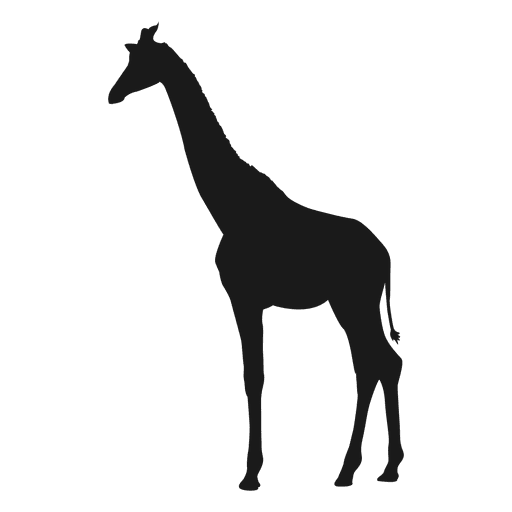 Silhueta de girafa Desenho PNG