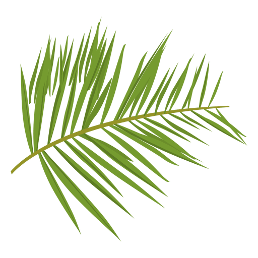 Green fern PNG Design