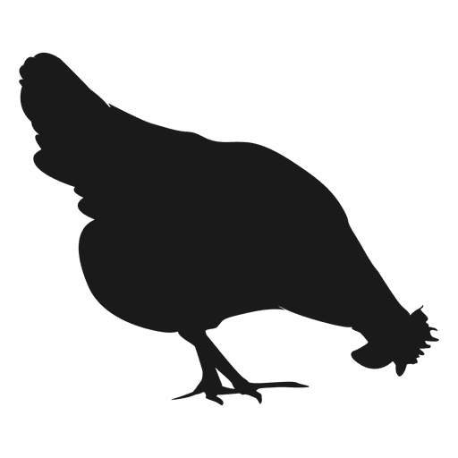 Silhueta de galinha 1 Desenho PNG