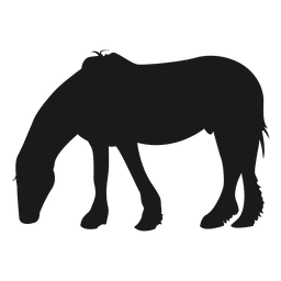 Cavalo comendo grama Desenho PNG