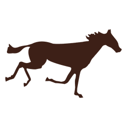 Horse galloping motion sequence 1