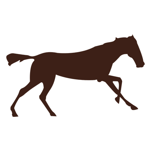 Bewegungssequenz des galoppierenden Pferdes 11 PNG-Design