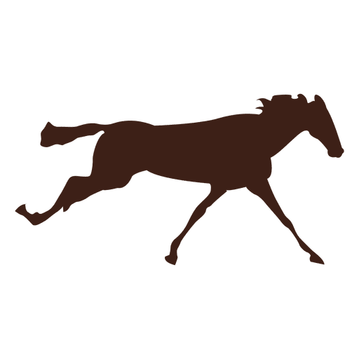 Horse galloping motion sequence 4 PNG Design