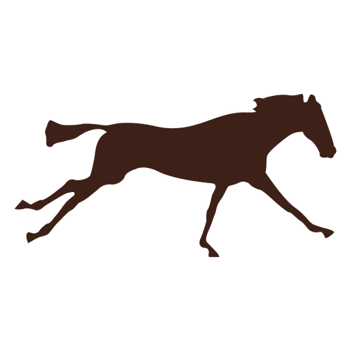 Bewegungssequenz des galoppierenden Pferdes 5 PNG-Design