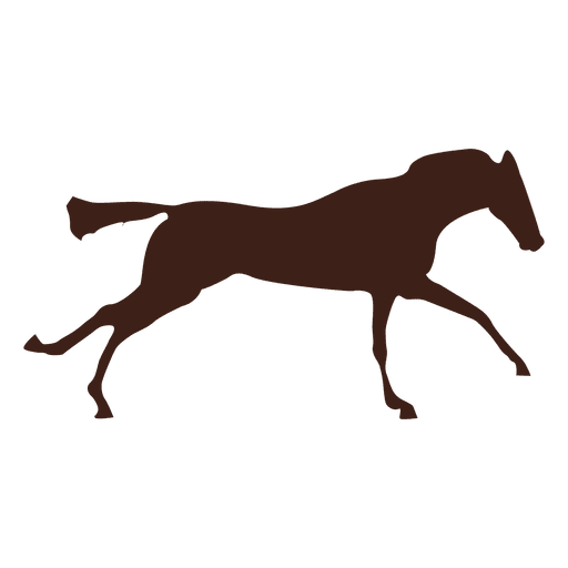 Bewegungssequenz des galoppierenden Pferdes 6 PNG-Design