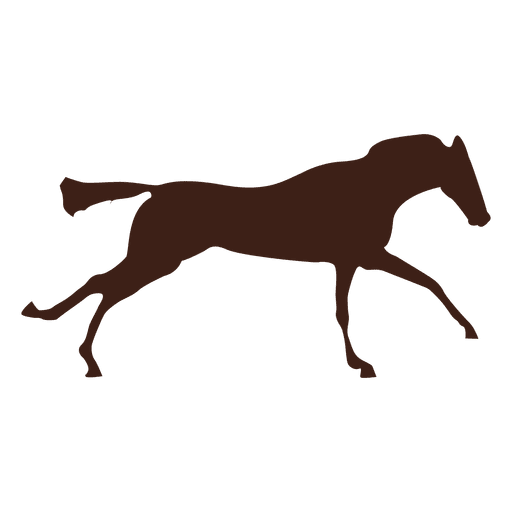 Sequência de movimento de cavalo galopando 6 Desenho PNG