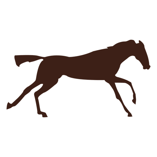 Horse galloping motion sequence 7 PNG Design