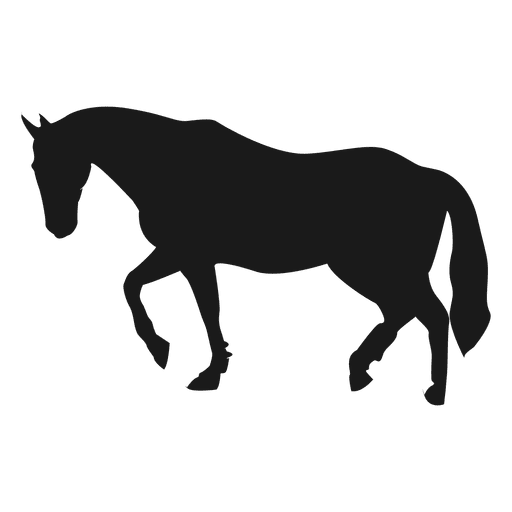 Silhueta de cavalo 3 Desenho PNG