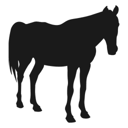 Cavalo dormir silueta Desenho PNG