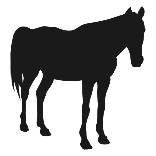 Horse sleeping silhouette