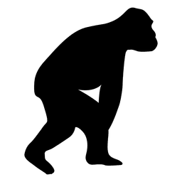 Menschliche Evolution PNG-Design