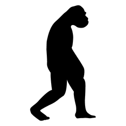 Human evolution 1 PNG Design