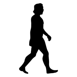 Evolución humana 5 Diseño PNG