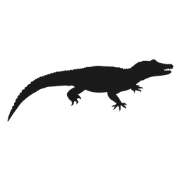 Lizard silhouette Lizard silhouette