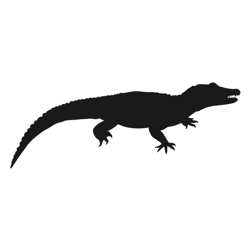 Lizard silhouette