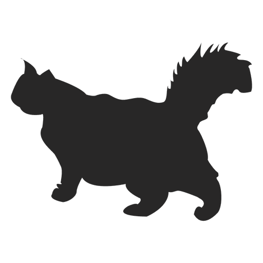 Gato de pelo largo caminar - Descargar PNG/SVG transparente