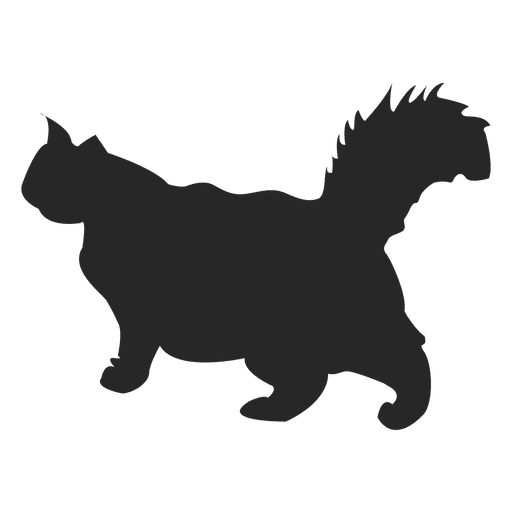 Longhair cat walking PNG Design
