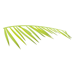 Helecho de palma Diseño PNG