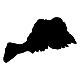 Pegion flying sequence PNG Design