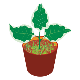 Plant tub PNG Design