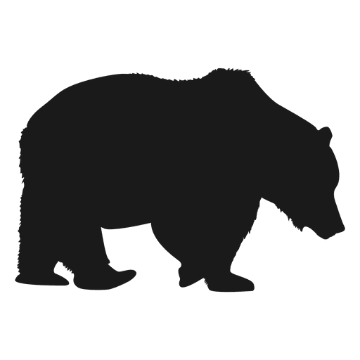 Urso polar Desenho PNG
