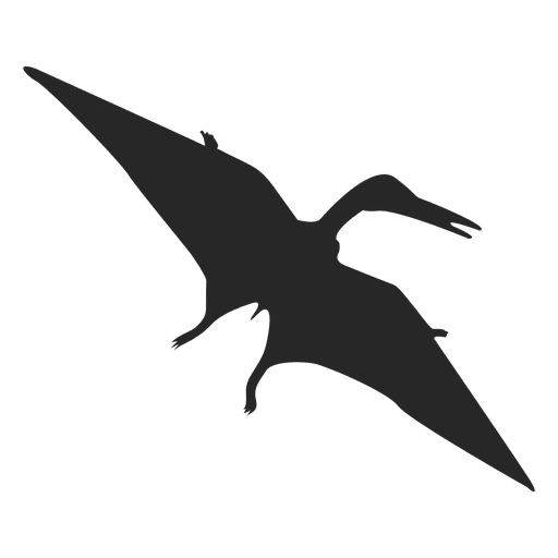 Silueta de pterosaurio Diseño PNG