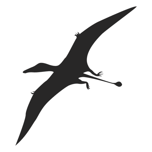 Silueta de pterosaurio 2 Diseño PNG