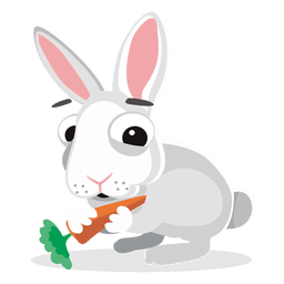Desenho de coelho Desenho PNG