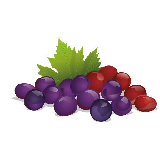 Realistic grapes PNG Design