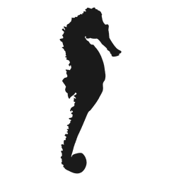 Seepferdchen PNG-Design
