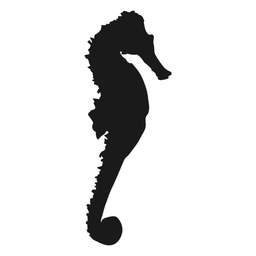 Sea horse - Transparent PNG & SVG vector file