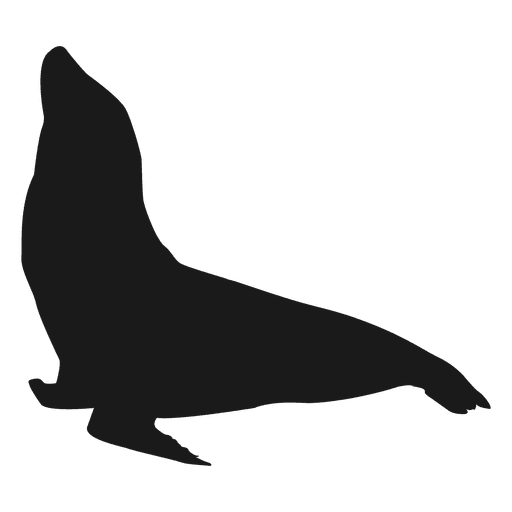 Sea lion PNG Design