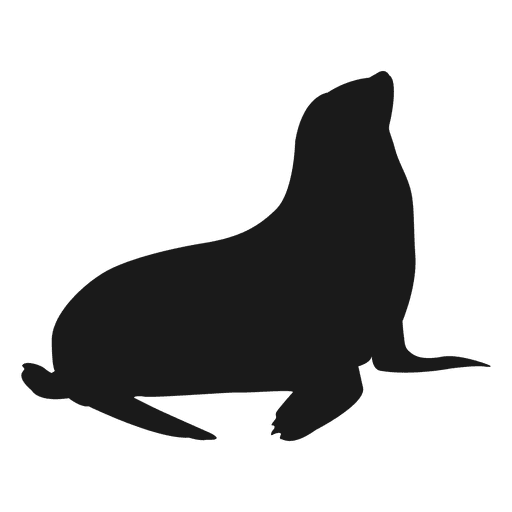 Sea lion silhouette PNG Design
