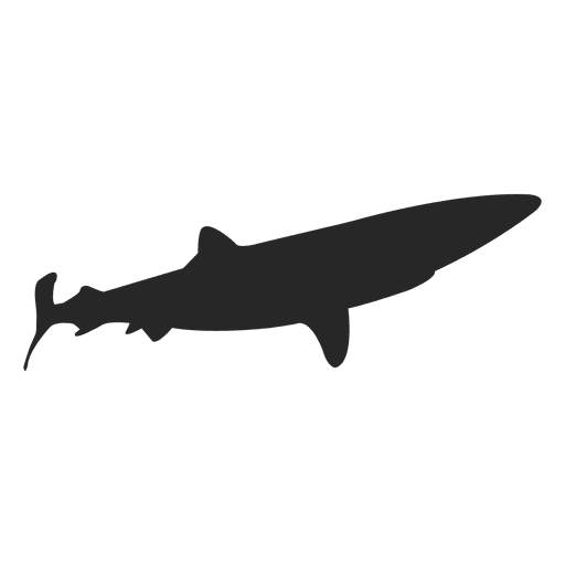Silhueta de tubarão 1 Desenho PNG