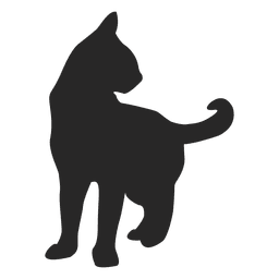 Shorthair cat 1 PNG Design
