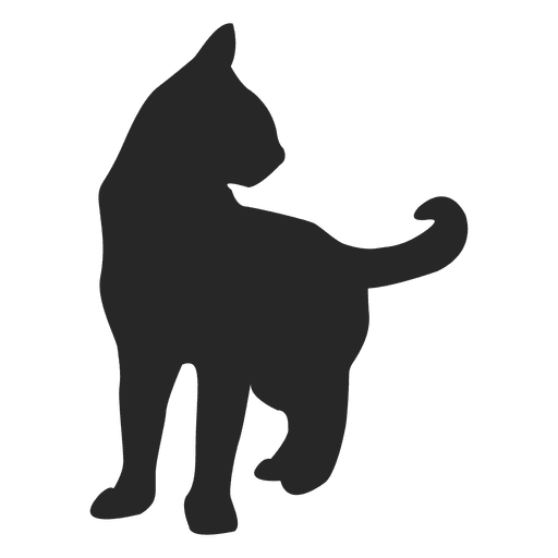 Shorthair cat 1 PNG Design