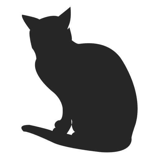 Gato de pelo curto sentado Desenho PNG