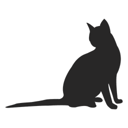 Gato de pelo curto sentado 1 Desenho PNG