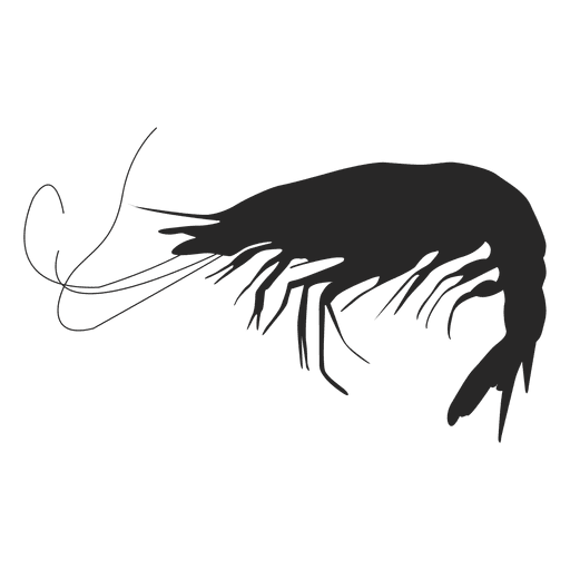 Shrimp silhouette