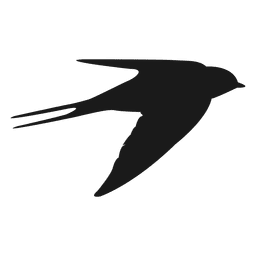 Tragar pajaro Tragar pajaro