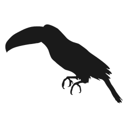 Silhueta de tucano Desenho PNG