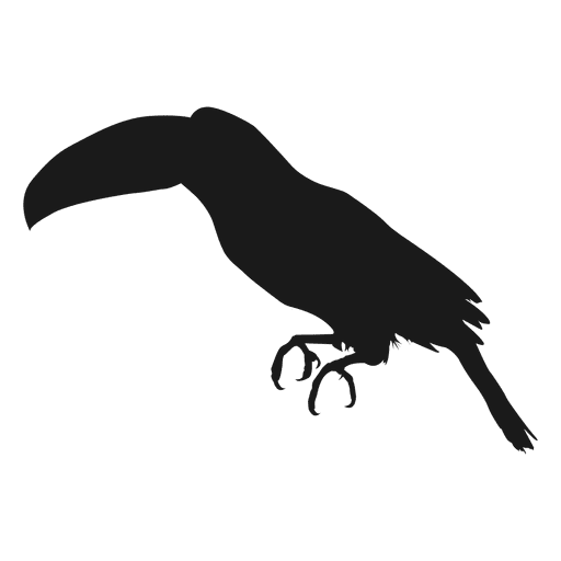 Silhueta de tucano Desenho PNG