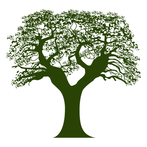 Silhueta da árvore 18 Desenho PNG