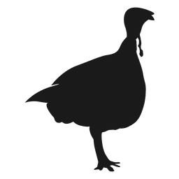 Silueta de pavo Diseño PNG