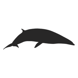 Silueta de ballena Diseño PNG