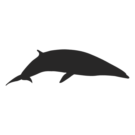 Silueta de ballena Diseño PNG